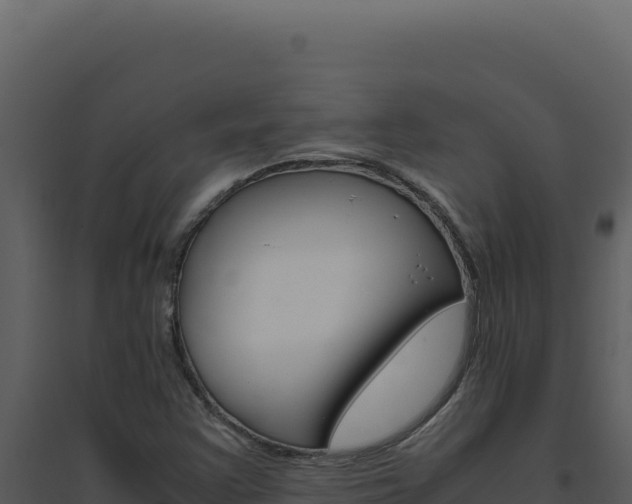 X0000094821355200711161018