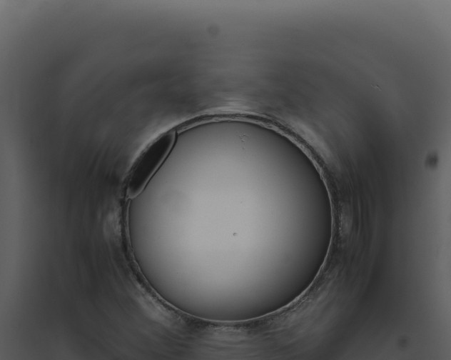 X0000094821356200711161018