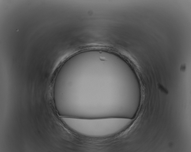 X0000094821357200711161018