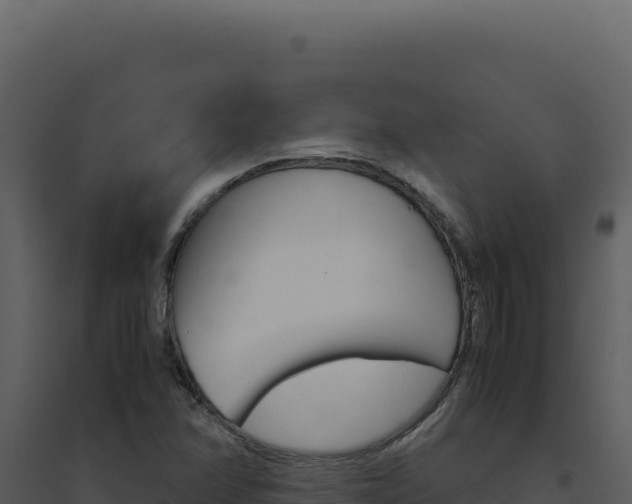X0000094821358200711161018