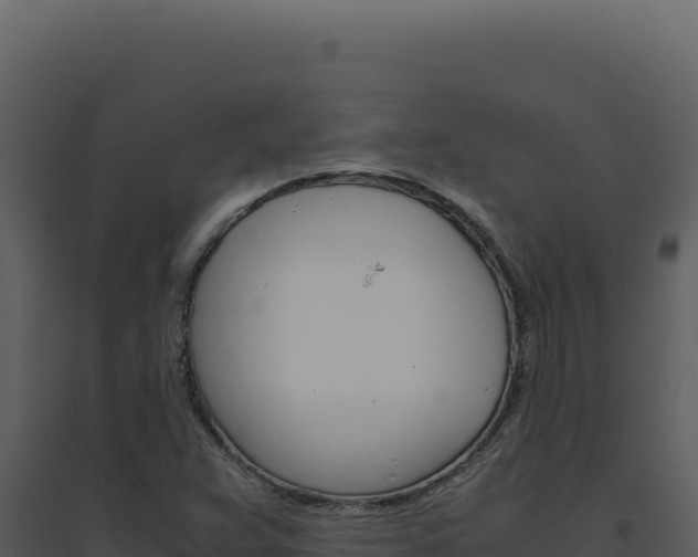 X0000094821359200711161018