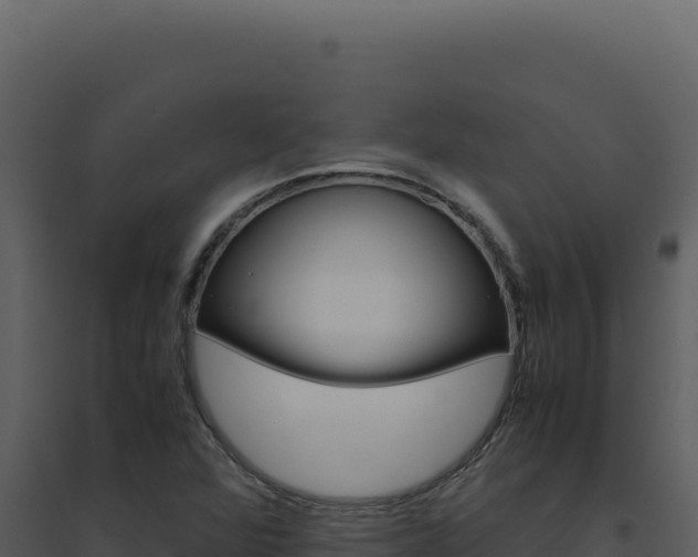 X0000094821360200711161018