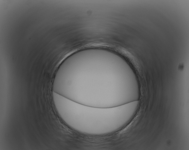 X0000094821361200711161018