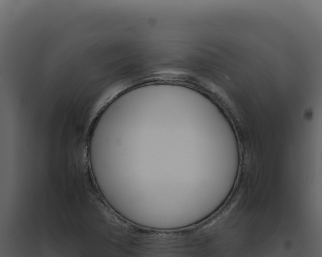 X0000094821362200711161018