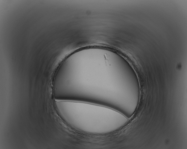 X0000094821363200711161018