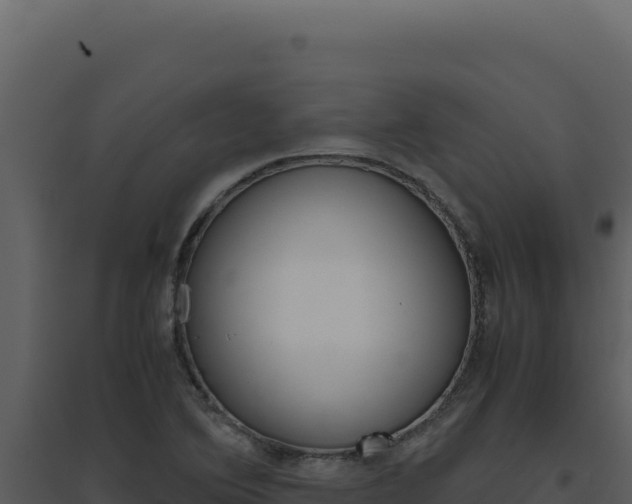 X0000094821364200711161018