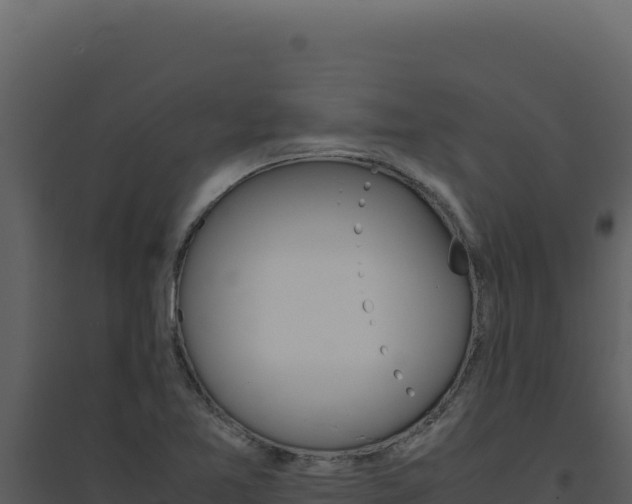 X0000094821365200711161018