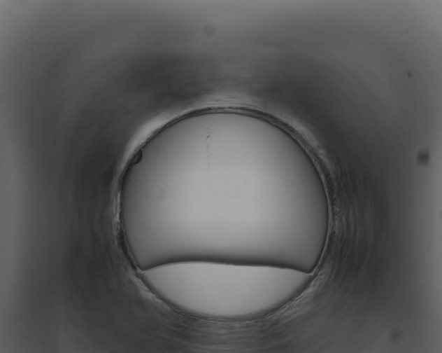 X0000094821366200711161018