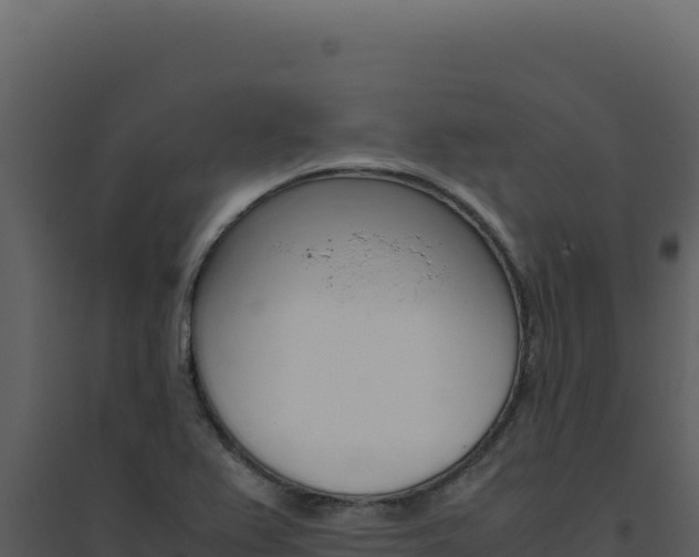 X0000094821367200711161018