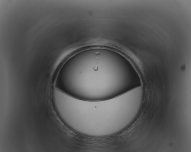 X0000094821368200711161018