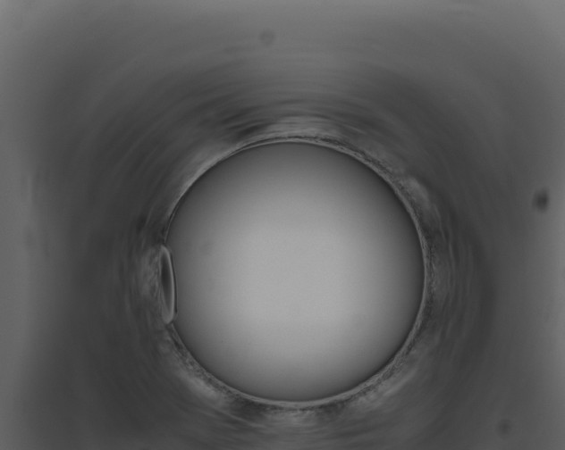 X0000094821369200711161018