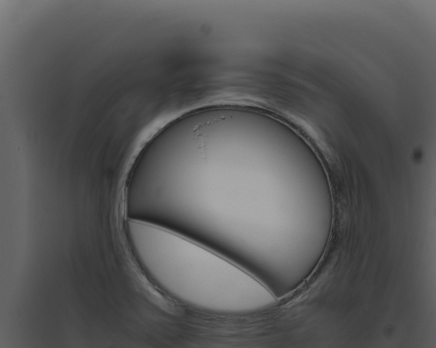 X0000094821371200711161018