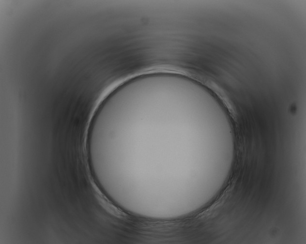 X0000094821372200711161018