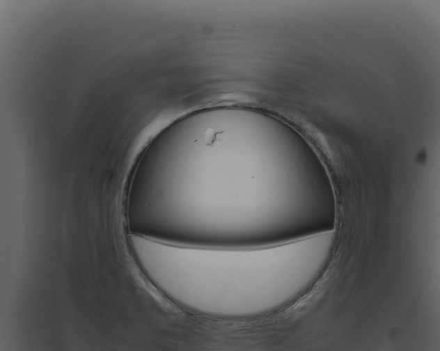 X0000094821373200711161018