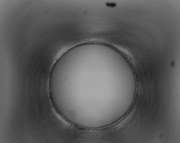 X0000094821374200711161018