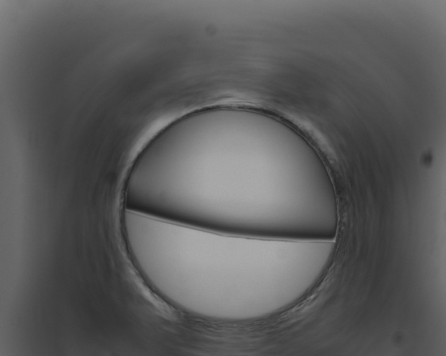 X0000094821375200711161018