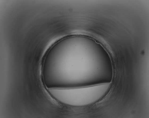 X0000094821376200711161018