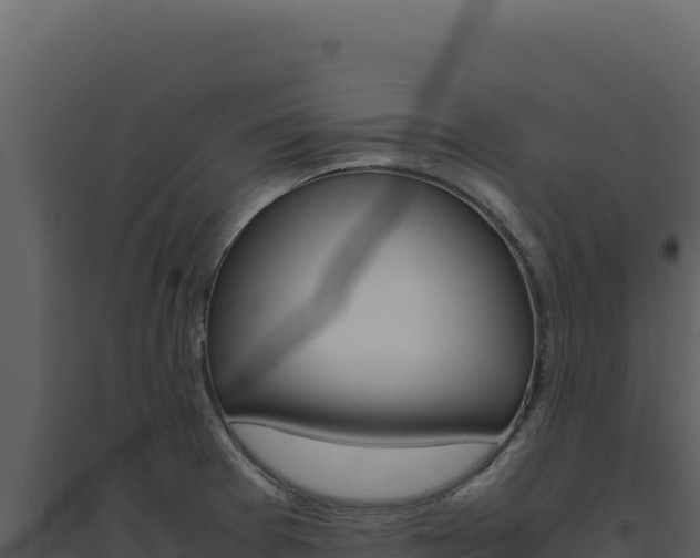 X0000094821377200711161018