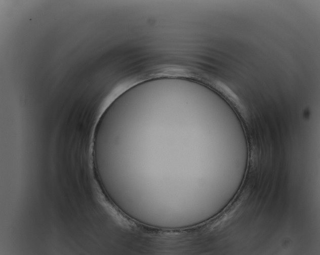 X0000094821378200711161018