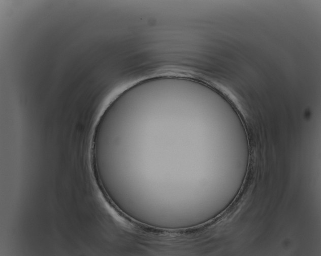 X0000094821379200711161018