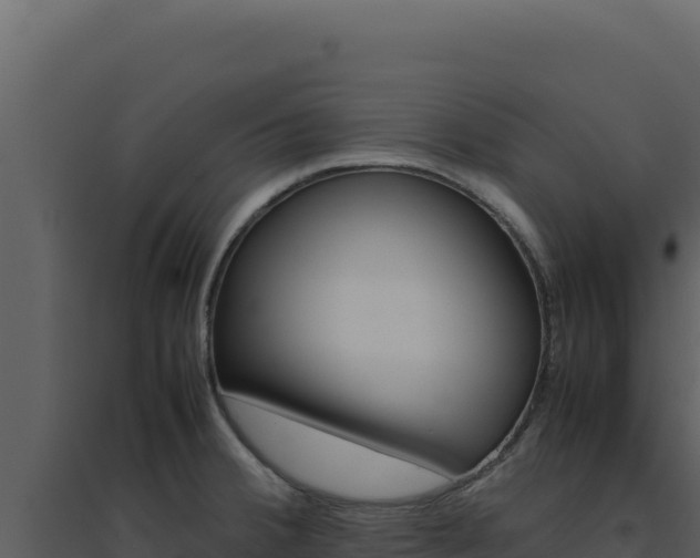 X0000094821380200711161018