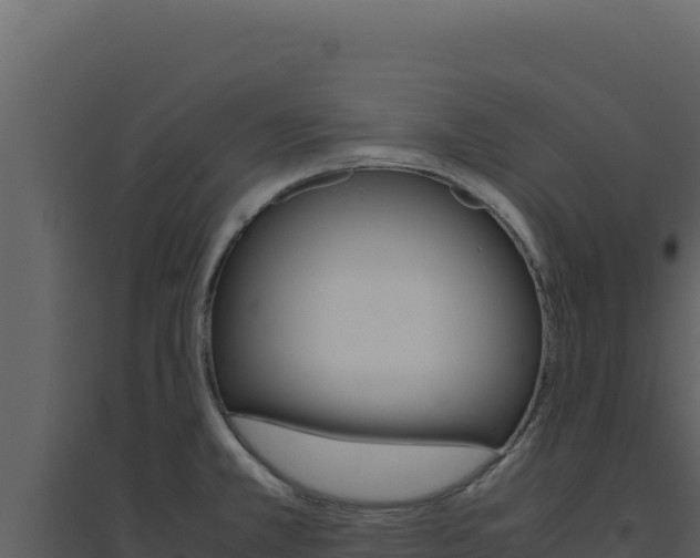 X0000094821381200711161018