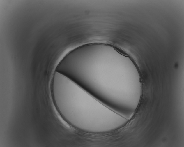 X0000094821383200711161018
