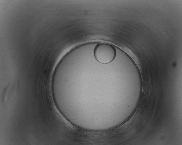 X0000094821384200711161018
