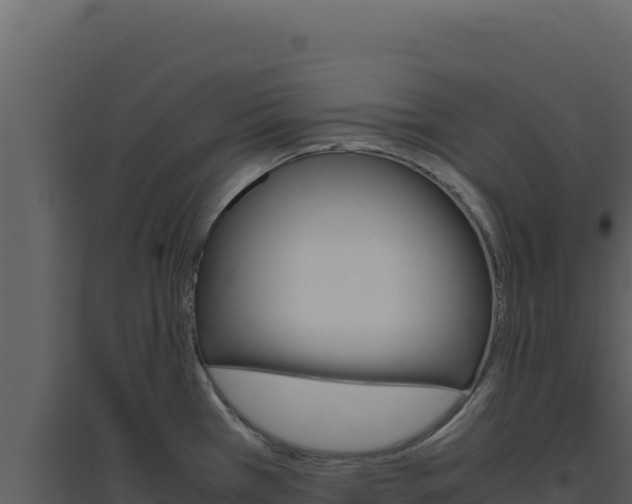 X0000094821385200711161018