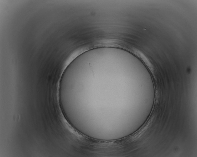 X0000094821386200711161018
