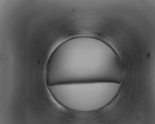 X0000094821387200711161018