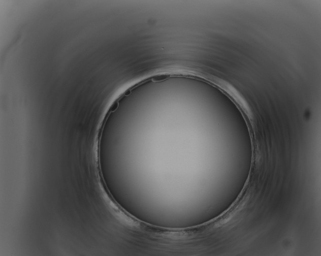 X0000094821388200711161018
