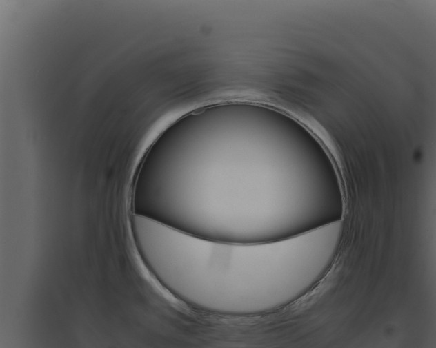 X0000094821389200711161017