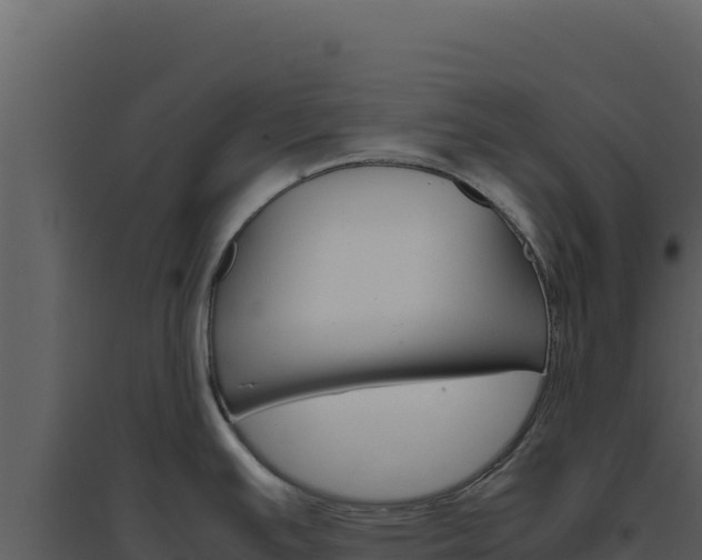 X0000094821391200711161017