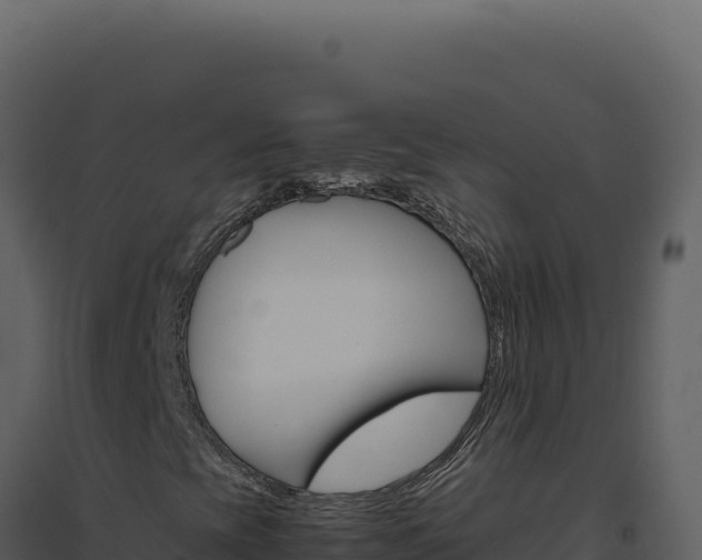 X0000094821393200711161016