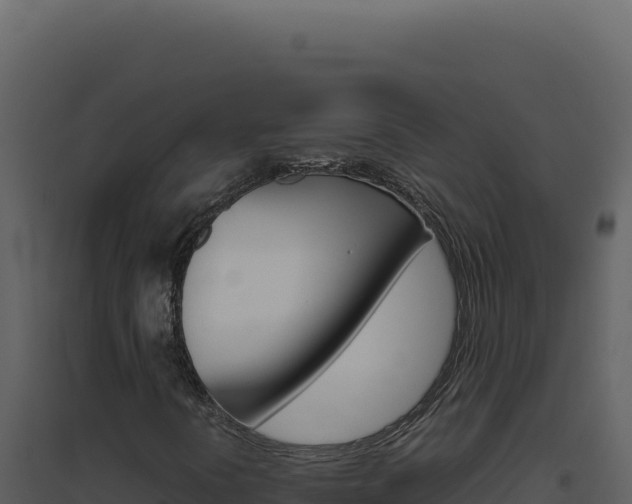 X0000094821394200711161016