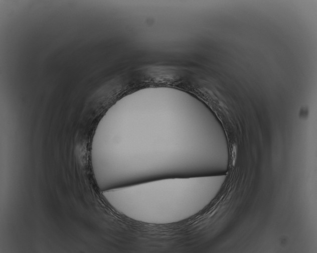 X0000094821395200711161017