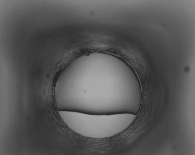 X0000094821397200711161017