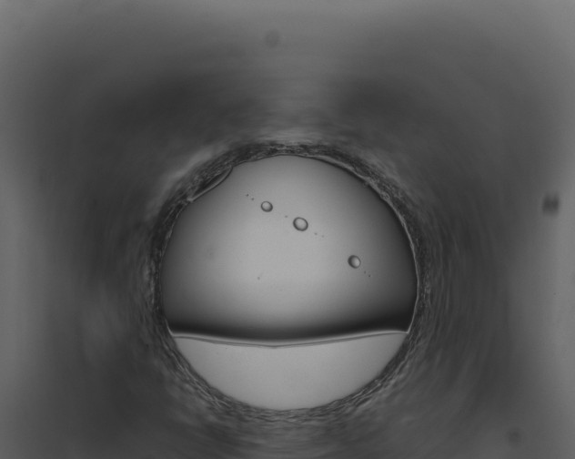 X0000094821398200711161017