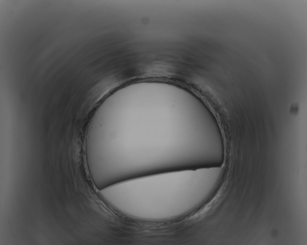 X0000094821401200711161017