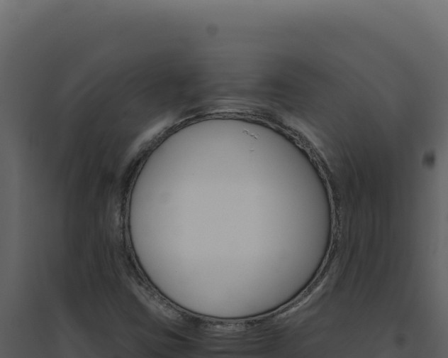 X0000094821403200711161017