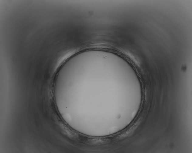 X0000094821405200711161017