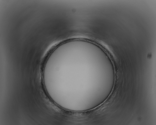 X0000094821408200711161017