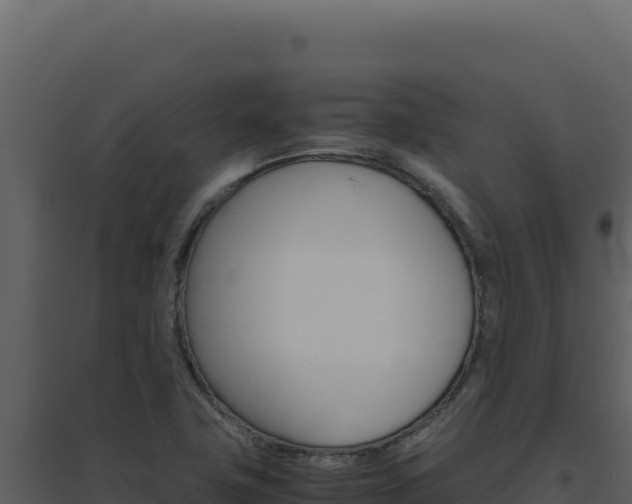 X0000094821411200711161017