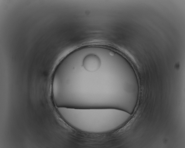 X0000094821413200711161017