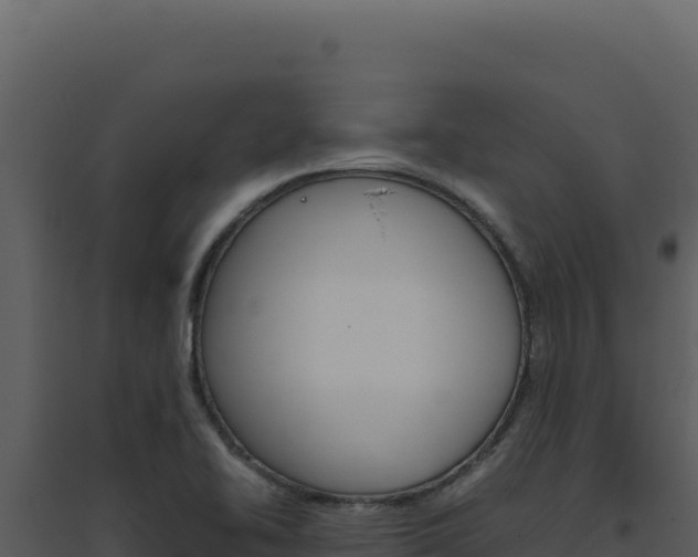 X0000094821414200711161017