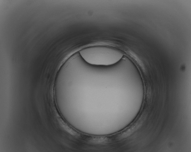 X0000094821417200711161017