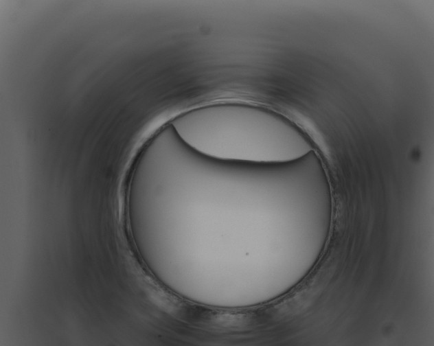 X0000094821419200711161017