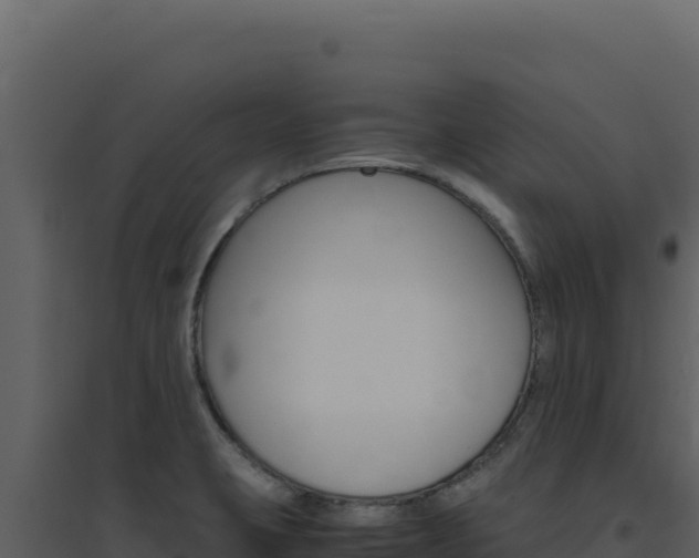 X0000094821423200711161017