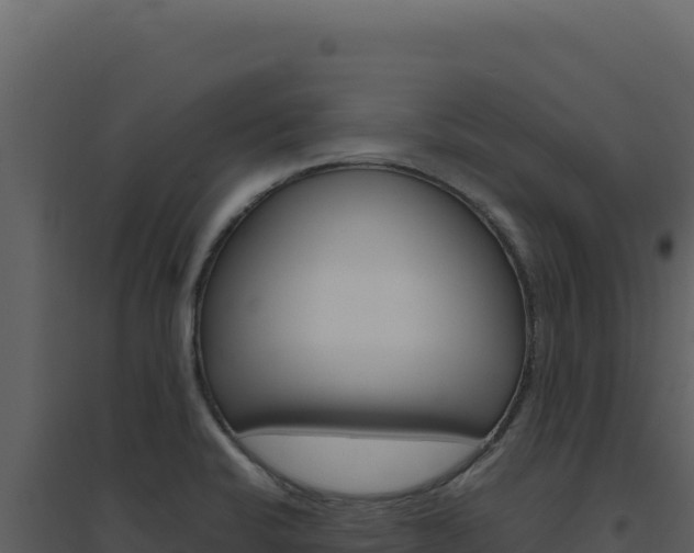X0000094821424200711161017